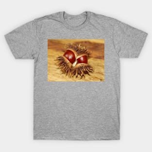 horse chestnut - conker T-Shirt